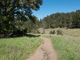 Mt Tamalpais 001